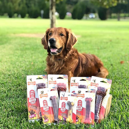 Nylabone Textured Bone Power Chew Toy for Dogs, Durable & Tough Dog Toys for Aggressive Chewers, Beef Jerky Flavor, Medium Dogs - Up to 35 lbs, 1 Count