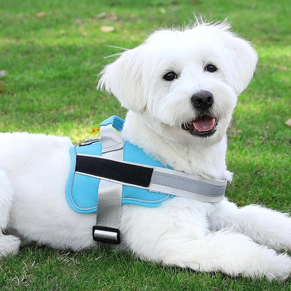 Bolux Dog Harness, No-Pull Reflective Dog Vest, Breathable Adjustable Pet Harness with Handle for Outdoor Walking - No More Pulling, Tugging or Choking (OceanicBlue, X-Large (Pack of 1))