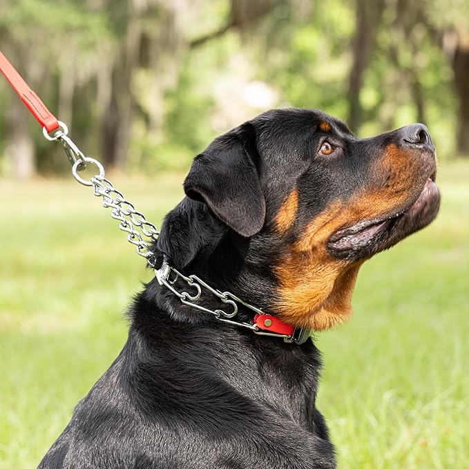 Herm Sprenger Chrome Plated Steel Dog Collar with Quick Release ClicLock Buckle O-Ring Biothane Insert Training Collar Made in Germany (Cherry Red, 25in x 4.0mm(Neck Size up to21-22in))