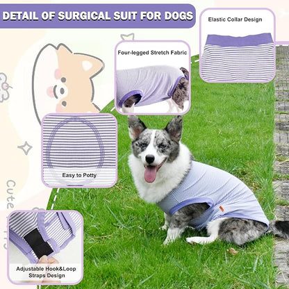 Dog Surgery Recovery Suit for Male Female, Spay Neuter Cone Alternative Surgical Onesie, Purple, Large