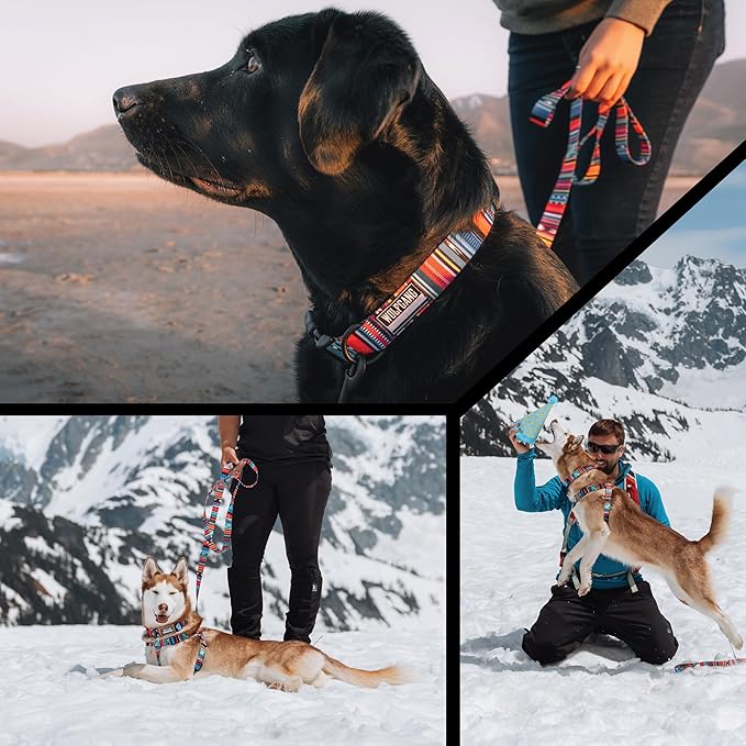 Wolfgang Heavy Duty Dog Leash, Pull-Tested to Over 800 lbs for Walking & Training, Quetzal Print, Small
