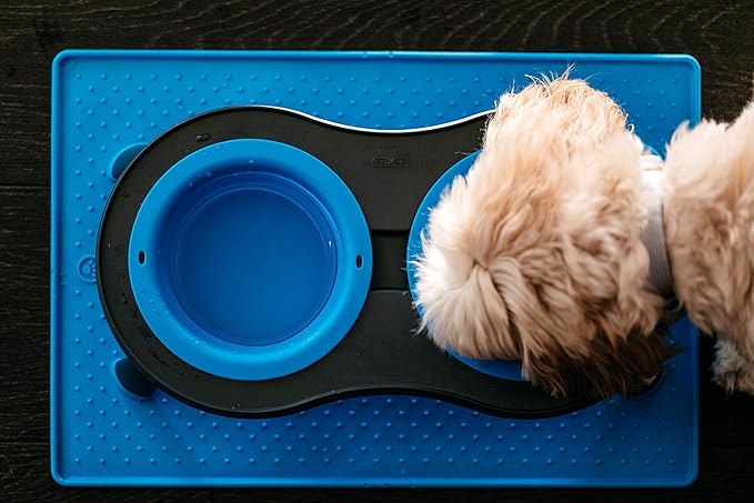 Dexas Pets Double Elevated Pet Feeder, Pro Blue, Small/1 Cup Capacity Bowls (PW1004322194)