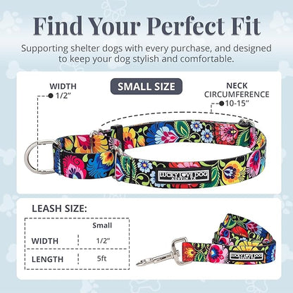 Lucky Love Dog Martingale Collar and Leash Set, Premium No Slip Collar and Leash Set, Great for Whippets, Greyhounds, and More (Blackbird, Small - Combo)