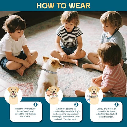 Flea and Tick Collar for Dogs – 12-Month Protection – Adjustable & Waterproof – Safe, Long-Lasting Repellent for Fleas, Ticks, Lice & Mosquitoes – Fits Small, Medium & Large Dogs 4pack