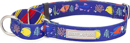Lucky Love Dog Martingale Collar, Blue Color No Slip Collars for Medium Dogs, Tropical Fish Pattern Martingale Dog Collar, Great for Whippets, Greyhounds, and More (Mackey, Medium)