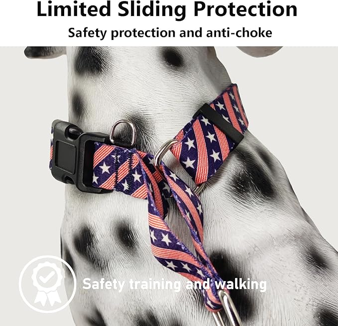 American Flag Martingale Collar for Dogs with Buckle 4th of July No Pull Adjustable Nylon Limited Slip Training Dog Collars (Navy Blue Flag, Medium)