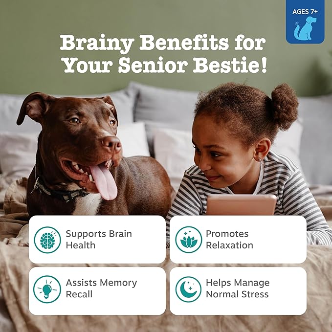 Zesty Paws Senior Advanced Calming & Cognition Soft Chews for Dogs - Supplements for Dog Brain Health & Nervous System Support + Calming & Relaxation -with Ashwagandha & DHA