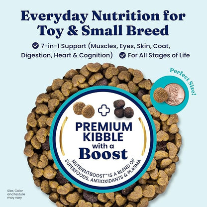 Solid Gold Toy & Small Breed Dry Dog Food Small Bites – Chicken, Grain Free Gluten Free, High Fiber Kibble w/Probiotics for Gut & Digestion – All Ages – NutrientBoost™ – 11LB