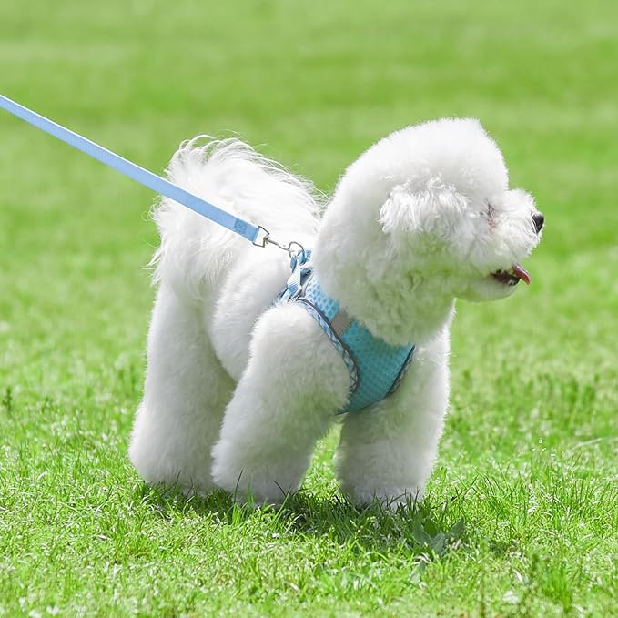 Step in Dog Harness and Leash Set, No Pull Escape Proof Vest Harness with Soft Diamond Mesh and Reflective Bands, Adjustable Pet Outdoor Harnesses for Medium Size Dogs Blue M