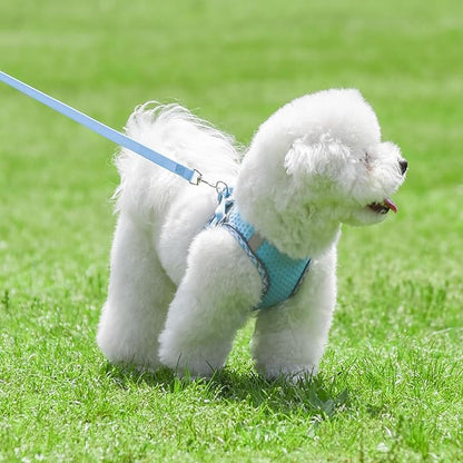 Summer Soft Dog Harness and Leash Set,Ultra Thin Breathable Diamond Mesh, Step in Adjustable Dog Harness with Padded Vest for Medium Size Dogs in Hot Weather Blue L