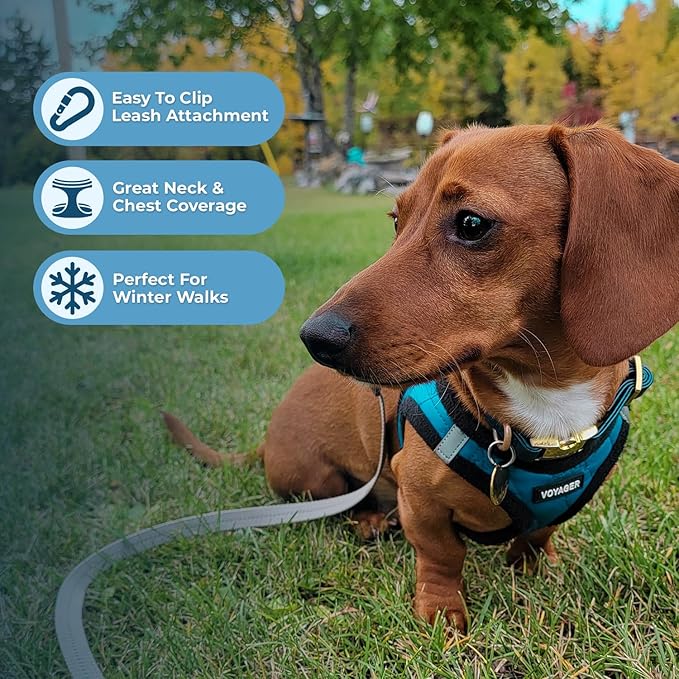Best Pet Supplies - All Weather Plush, Reflective, No Pull Harness for Small, Medium Dogs, Cats - Secure with Hook & Loop Fastener, Buckle, Double D-Rings - Turquoise Plush, XS