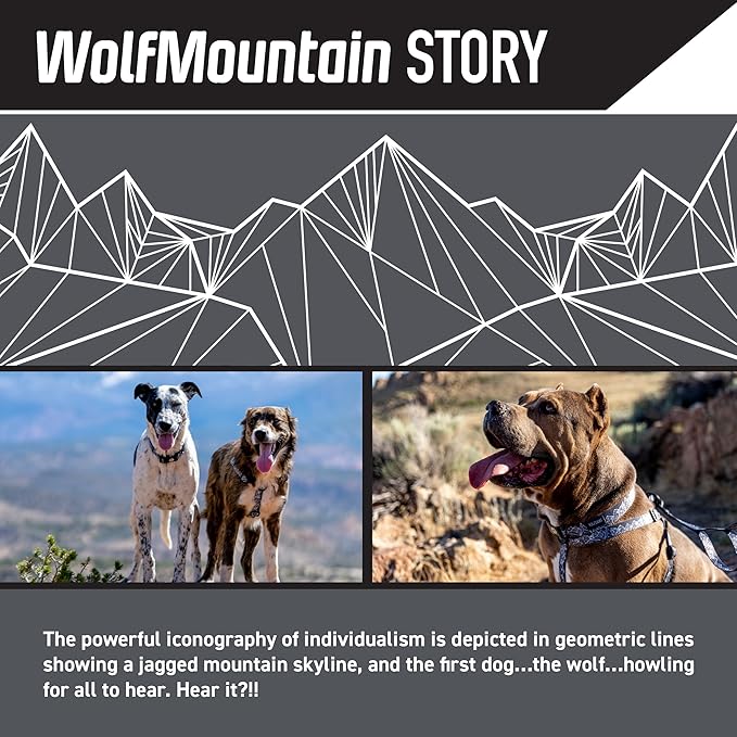 Wolfgang Heavy Duty Dog Leash, Pull-Tested to Over 800 lbs for Walking & Training, WolfMountain Print, Small