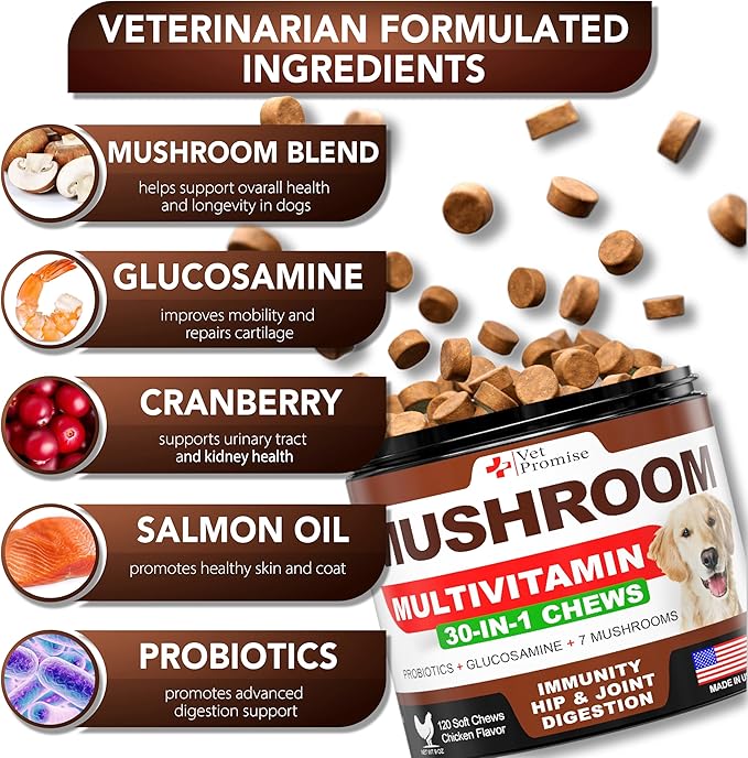 Turkey Tail Mushroom for Dogs - 170 Chews - Mushroom Supplement for Dogs - Lions Mane - Reishi - Immunity Support Multivitamin Vitamins - Joint Health - Energy - Gut - Skin - Made in USA