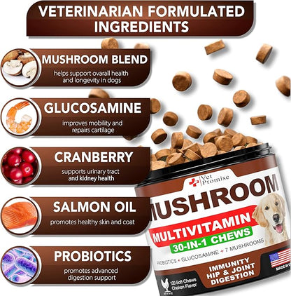 (2 Pack) Turkey Tail Mushroom for Dogs - 340 Chews - Mushroom Supplement for Dogs - Lions Mane - Reishi - Immunity Support Multivitamin Vitamins - Joint Health - Energy - Gut - Skin - Made in USA