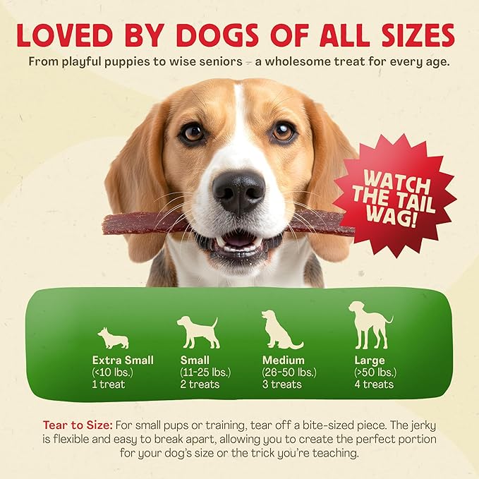 Chewmasters Organic Turkey Jerky with Chicken Dog Treat for All Life Stages - Fresh and Healthy Turkey Dog Treats - High Protein, Real Meat Snack, Grain Free, by-Product Free - USA Made, 2lb