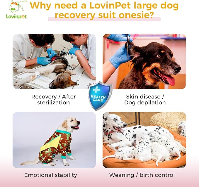 LovinPet Dog Recovery Suit - Medium Large - Dog's Bodysuit Wound Protective Surgical,E-Collar Alternative Recovery Bodysuit Suit for Abdominal Wounds After Surgery Anti-Licking,Dinosaur,Green,M