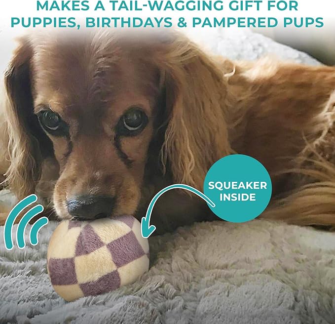 Haute Diggity Dog Chewy Vuiton Trunk Puzzle with 3 Plush Squeaky Dog Toys, Soft Durable Designer-Inspired Stuffed Puppy Chew Toys for Small & Medium Dogs, Machine-Washable (Tan Checker) One Size