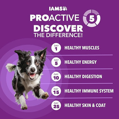 IAMS Advanced Health Skin & Coat Dry Dog Food, Adult Dog Food Dry Chicken and Salmon Recipe, 36 lb. Bag
