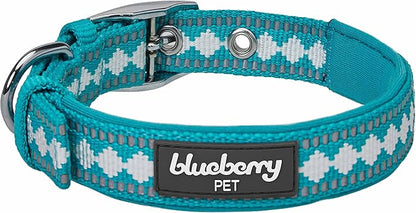 Blueberry Pet Reflective Jacquard Dog Collar with Neoprene Padding & Metal Buckle | Soft & Adjustable Safety Collar - Peacock, Neck 9-12.5", for Small Breed