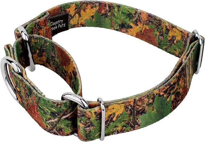 Country Brook Petz - Southern Forest Camo Martingale Dog Collar and Leash - Camouflage Collection Featuring Rugged Designs (1/2 Inch, 2XS)