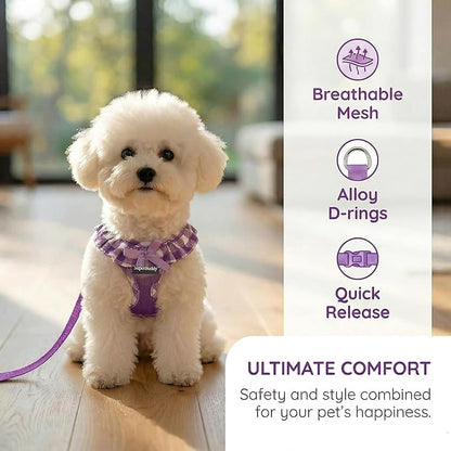 SuperBuddy Upgraded Soft Mesh Dog Harness, Super Breathable Lightweight Pet Harnesses for Puppy Dogs Outdoor Walking, Purple Dog Harness and Dog Leash Set Packing -Medium