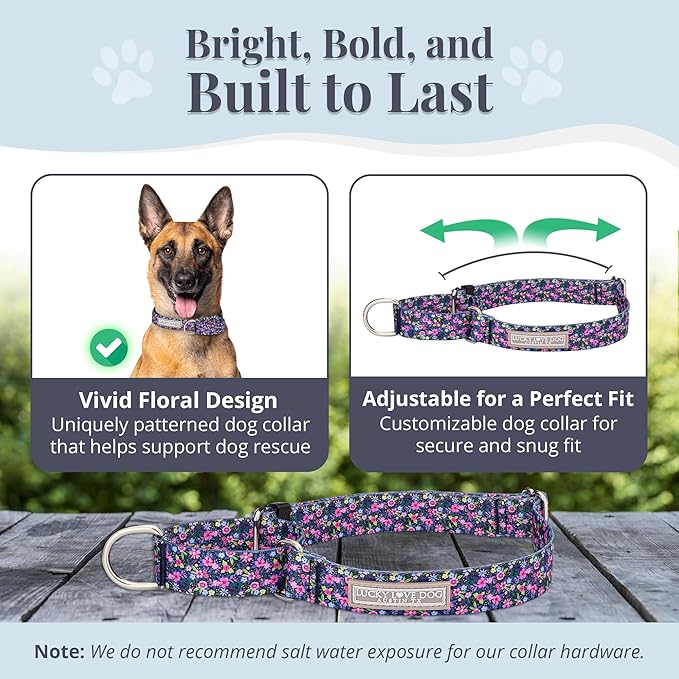 Lucky Love Dog Martingale Dog Collar - Adjustable, No-Slip, Durable, & Soft Webbing Collar for Male and Female Dogs Ideal for Training & Walking - Primrose, Medium