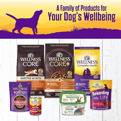 Wellness Complete Health Stew Adult Canned Wet Dog Food, Grain Free, Natural, Lamb and Beef Recipe, 12.5 oz, Pack of 12 Cans
