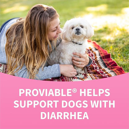 Nutramax Proviable Probiotics for Dogs, Daily Digestive Health Supplement with Multiple Strains of Bacteria, Dog Probiotics Plus Prebiotics, 60 Chewable Tablets,(Pack of 2)