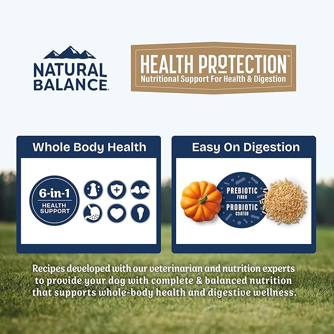 Natural Balance Health Protection Dry Dog Food – Whole Body Health, Easy on Digestion Dog Food Made with Lamb, Brown Rice & Pumpkin for Dogs - 4lbs.