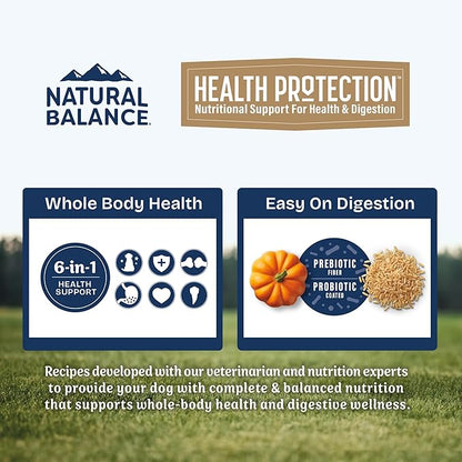 Natural Balance Health Protection Dry Dog Food – Whole Body Health, Easy on Digestion Dog Food Made with Chicken, Brown Rice & Pumpkin for Dogs - 4lbs.
