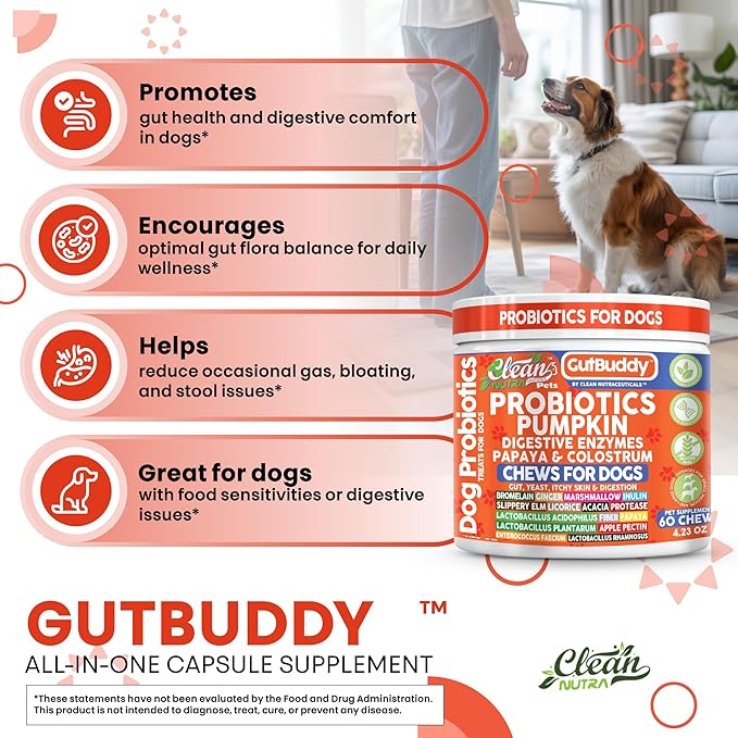 Gut Health Probiotics for Dogs + Pumpkin Colostrum Digestive Enzymes Ginger Slippery Elm Licorice Inulin Fiber Soft Chews Dog Probiotic Beef Flavor Digestion Supplement Treat Bites Large & Small Pets
