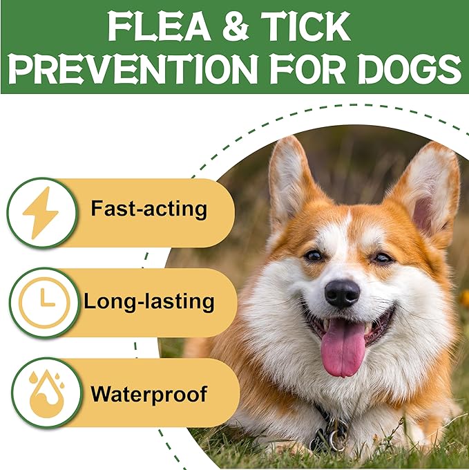 Flea and Tick Prevention for Dogs, Flea and Tick Treatment for Medium Dog, Flea & Tick Control, 23-44 Pounds, 6 Doses