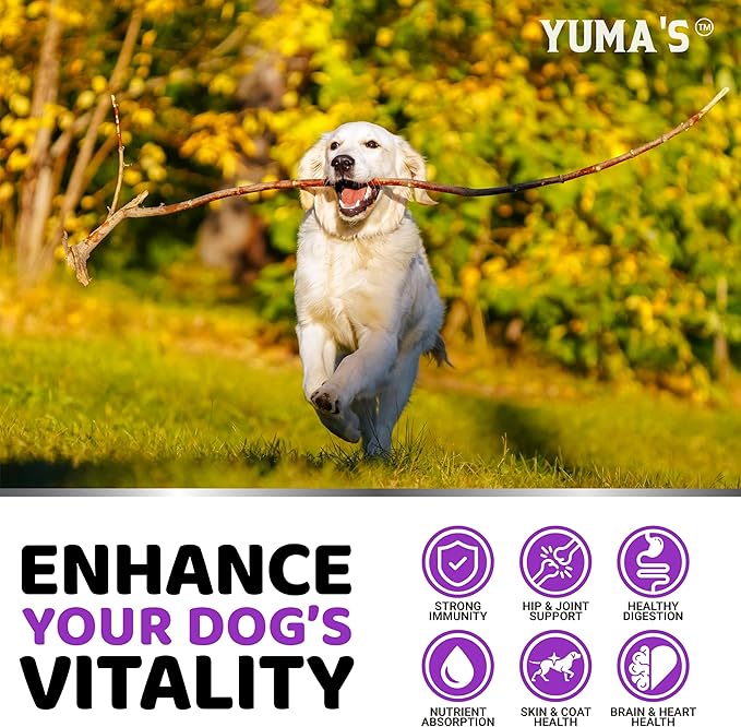 Dog Vitamins and Supplements - 240 Treats - Dog Multivitamin Chewable with Glucosamine - Senior & Puppy Multivitamin for Dogs - Hip & Joint Support - Immune Health, Skin, Heart, Digestion, Probiotics