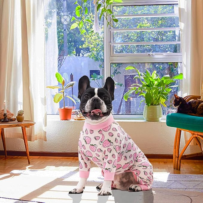 Recovery Suit for Surgery Small Medium Dogs Onesie, Soft Pajamas Bodysuit Cone Alternative, Prevent Licking Female Male (Large, Strawberry Pink)