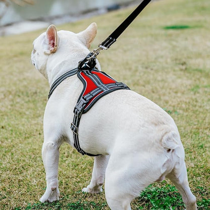 PUPTECK Dog Harness and Leash Set Small Sized, Adjustable Reflective Escape Proof Puppy Vest, No Pull Walking Harness Easy Control