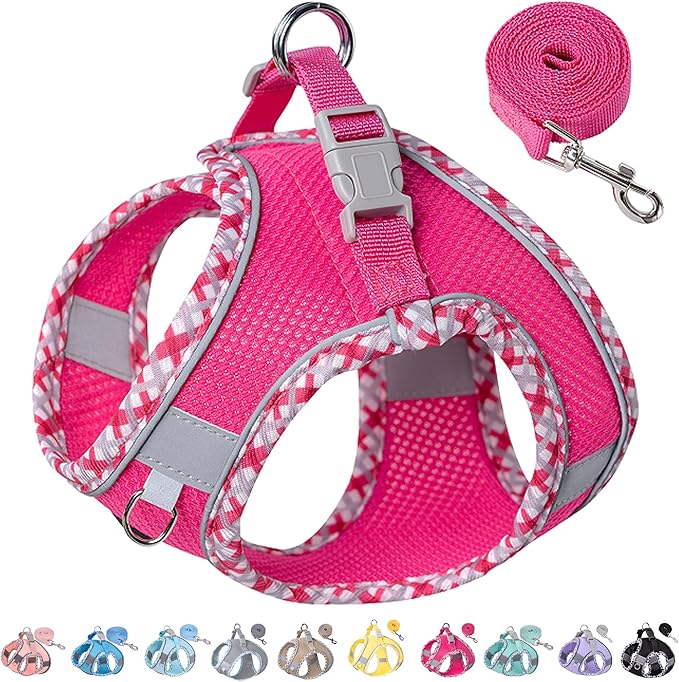 Petank Dog Harness for Small Medium Dogs No Pull, Puppy Harness and Leash Set for Walking, Running, Training, Small Dog Harness, Medium Dog Harness (Rose Red, M)