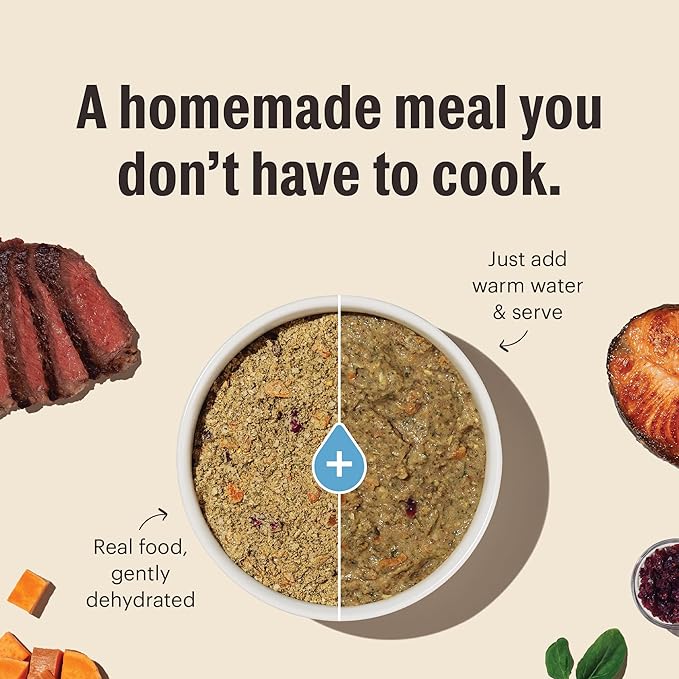 The Honest Kitchen Human Grade Wholemade™ Dehydrated Whole Grain Dog Food - Complete & Balanced Meal or Topper - Turkey 10 lb Box