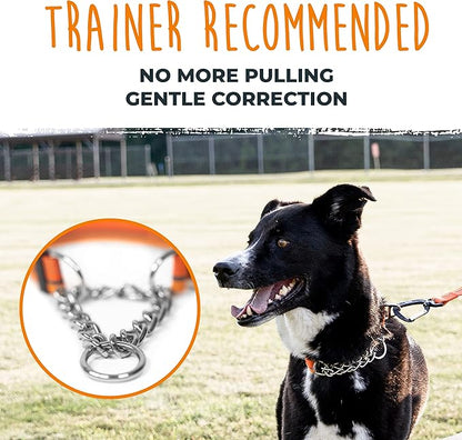 Mighty Paw Martingale Dog Collar 2.0 | Trainer Approved Limited Slip Collar with Stainless Steel Chain & Heavy Duty Buckle - Modified Cinch for Gentle & Effective Pet Training - Medium, Orange
