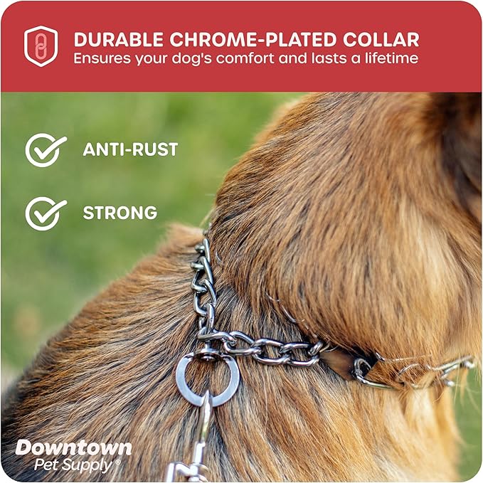 Downtown Pet Supply Chrome Plated Prong Collar for Dogs, Large - Adjustable, No-Choke and No Pull Dog Collar with Removable Links - Pinch Collar for Dogs Over 50 lbs and 22" Neck Width