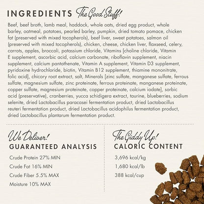 Fromm Four-Star Nutritionals Highlander Beef, Oats, & Barley Dog Food - Premium Dry Dog Food - Beef Recipe - 26 lb