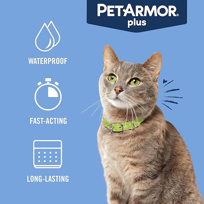 PetArmor Plus Flea and Tick Prevention for Cats over 1.5 lbs, Cat Flea and Tick Treatment, 1 Dose, Waterproof Topical, Fast Acting