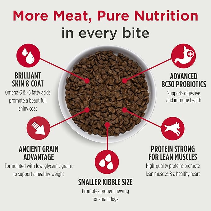 Nulo Frontrunner Dry Dog Food Small Breed - High-Protein Turkey, Whitefish & Quinoa Recipe, Natural Puppy & Adult Dog Food, Small Sized Kibble with Probiotics, Taurine, Omega 3, 14lb Bag