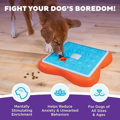 Outward Hound by Nina Ottosson Challenge Slider – Interactive Dog Treat Puzzle Enrichment Toy, Level 3 Advanced