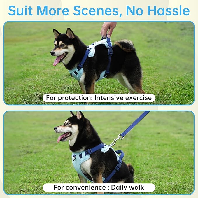 3 in 1 No Pull Dog Harness Leash and Collar Set, Soft Adjustable Dogs Vest Reflective and Comfortable Handle Blue Large