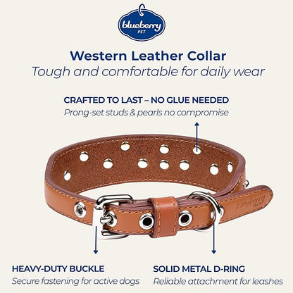 Blueberry Pet Western Dog Collar in Canyon Brown - 12-15 Inch Necks Floral-Embroidered Leather with Turquoise Studs, Adjustable