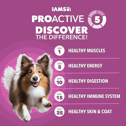 IAMS Proactive Health Dry Dog Food, Large Breed Mature Premium Adult Dog Food for Large Breeds, 29.1 lb. Bag