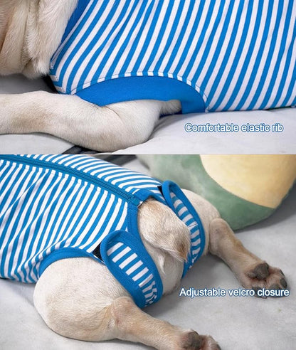 Dog Blue Recovery Suit for Small Female Spay,Male Dog Surgery Suit,Narrow Blue-White S