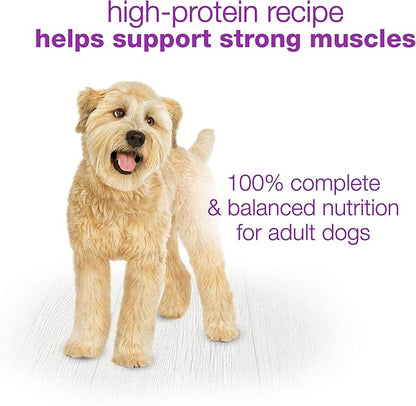 Purina Beneful Wet Dog Food Variety Pack, Prepared Meals & Chopped Blends - (16) 10 oz. Tubs