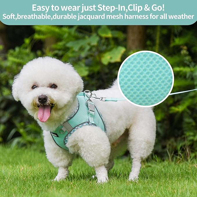 AIITLE Tiny Dog Harness - Lightweight Mesh Step-in Vest for Puppy, Reflective & Escape-Proof Design with High-Stick Magic Tape - Indoor/Outdoor Use for Chihuahua, Maltese, Shih Tzu(Turquoise, XXXS)