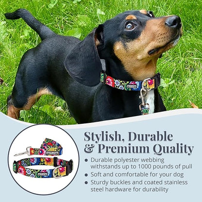 Lucky Love Dog - Easy Click Buckle Dog Collar with Leash Set Combo, Durable & Comfortable for Male & Female Dogs, Pet Collar for Small Dogs, Secure Fit - Blackbird Combo, X-Small